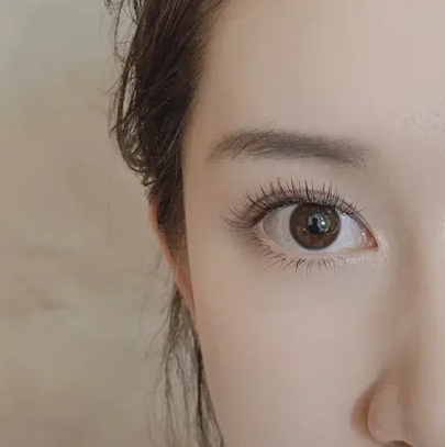 微信截图_20231222171007