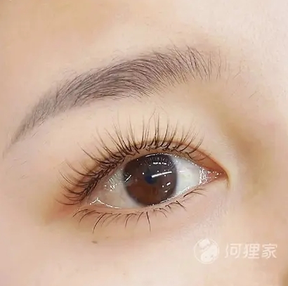 微信截图_20231222171256