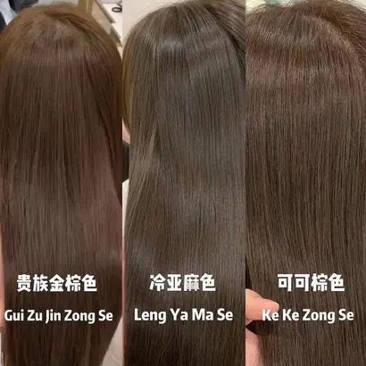 微信截图_20231222174344